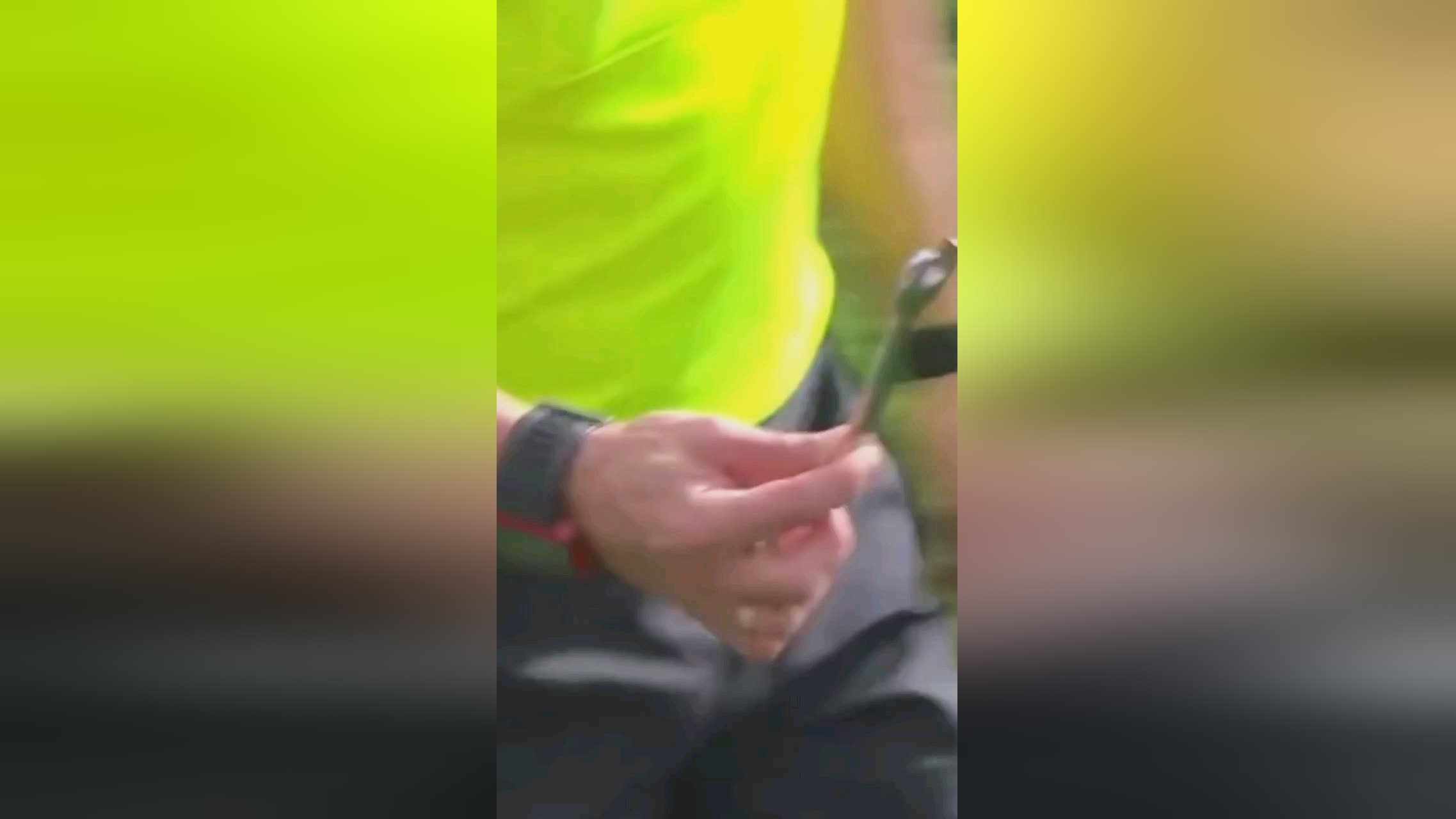 比亚的对阵